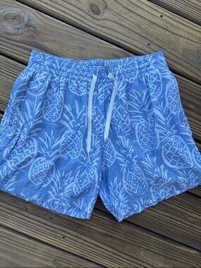 EUC chubbies Blue Pineapple Swim Trunks- size small